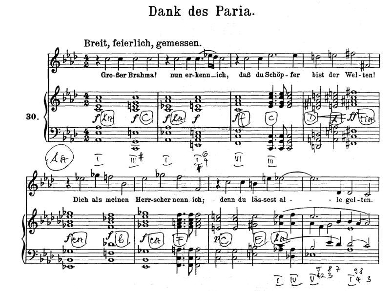 [69] Wolf: Dank des