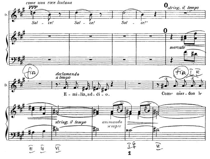 [109] Verdi: