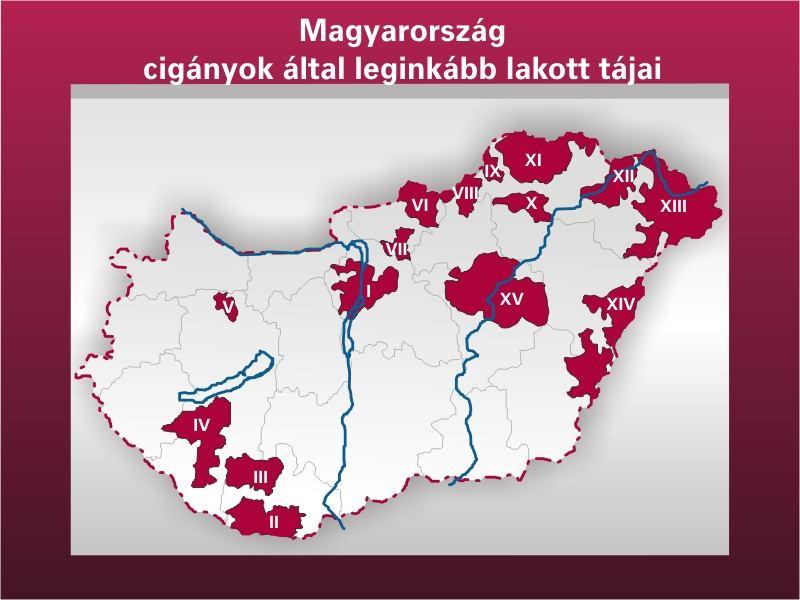 Az utolsó reprezentatív cigánykutatás (Kemény et al.