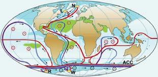 3. ábra. Balra: A Nagy Óceáni Szállítószalag sematikus vázlata. Jobbra: konvekciós kísérlet felszíni hőmérsékleti gradiens és lokalizált also hőforrás esetén. (Jánosi I., Várai A., Vincze M., 2010.