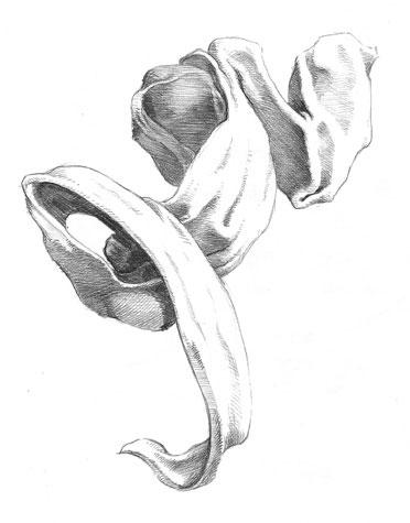HALADÓKNAK