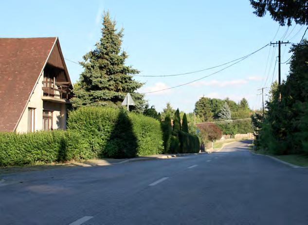 A teljesen tömör, átláthatatlan utcai kerítés kerülendő. Az oldalsó és hátsó kerítések rejtettebbek, mégis érdemes átgondolni anyagukat, zártságukat.