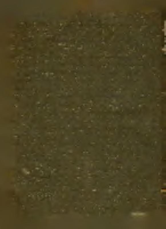50 Boldog új esztendőt! 1 8 9 9. Ah, ez a kívánság valóban a legigazabb és legrövidebb kifejezése annak, ami után az összes emberiség sóvárog, ami után az emberi szív egész teljéből eped! Boldogság!