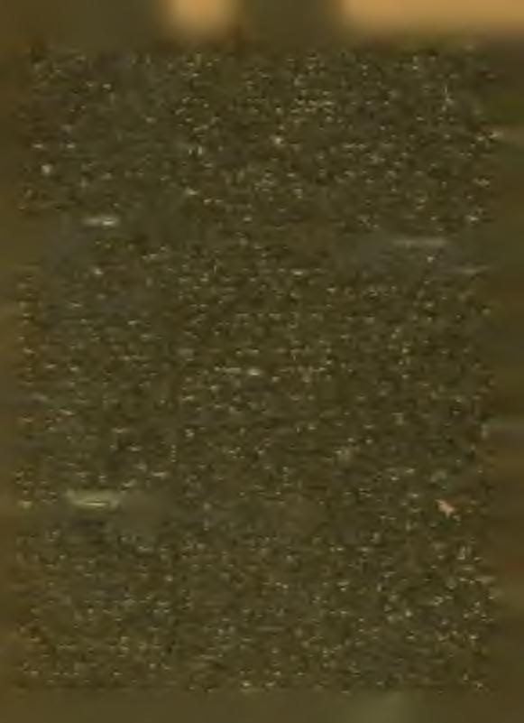 kiló kenyeret tudtunk kiosztani. Ez a szám a szerint, a mint az adományok szaporodnak, még növekedni fog.