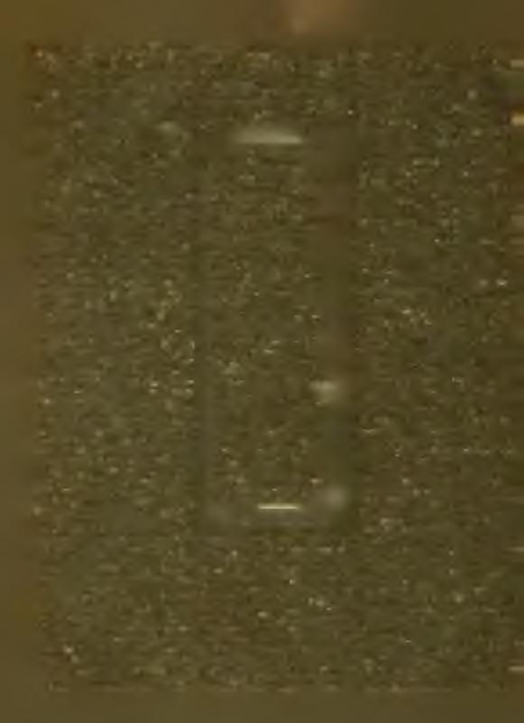 Az igaz hit ezen hiánya, oka azon számtalan szarvas bűnnek, a sok öngyilkosságnak, melyek úgyszólván, napirenden vannak.
