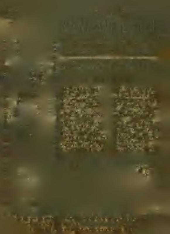 !, évfolyam. 8. szám.