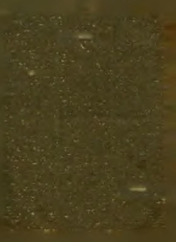 // 0 is úgy tett, mint Sz Bernát, kiben az ördög egyszer ezen veszélyes gondolatot ébreszté föl: Bernát! te reméled e a mennyországot, te, egy ily nyomorult teremtmény?