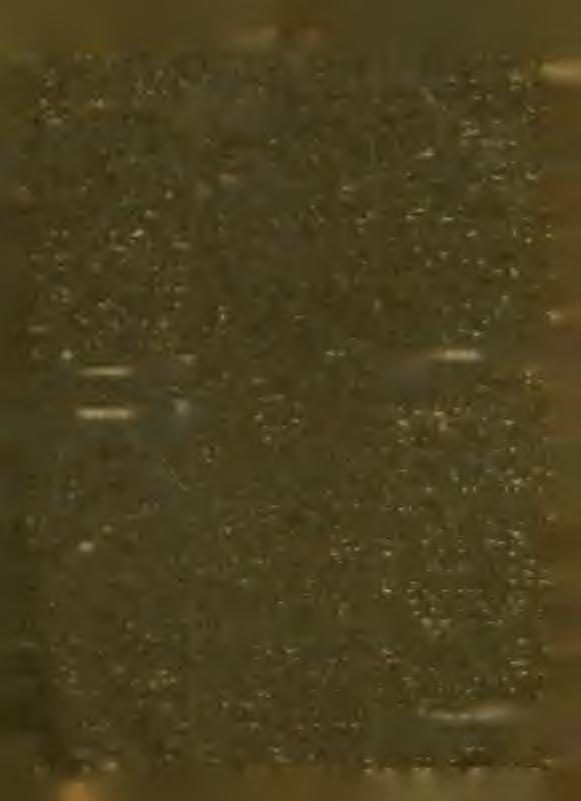 123 Ez m ár m égis csak s o k! A m ióta elmentem hazulról, ez m ár a negyedik koldus, aki ntam ba áll. M iért nem gondoskodik az állam a szegényekről?