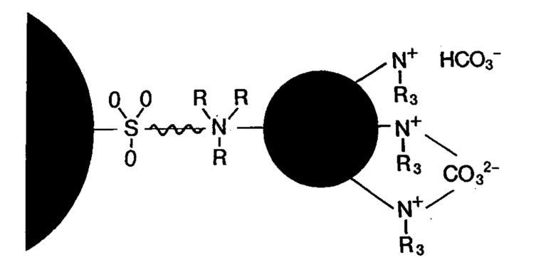 4. ábra: A latex agglomerált állófázis szerkezete Habár a latex réteg önmagában véve nagy ioncsere kapacitással rendelkezik, a kisméretű gyöngyök mégis kis ioncsere kapacitású állófázist