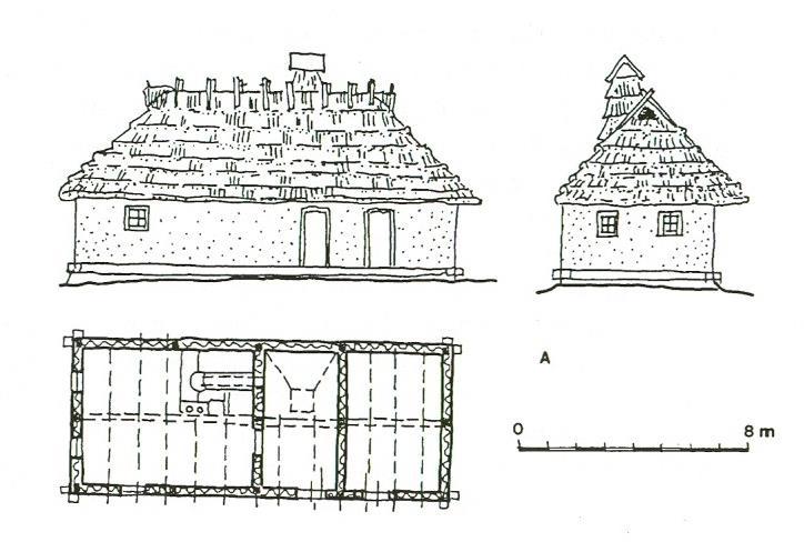 Komlóska /