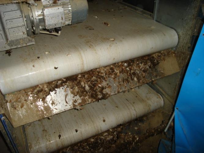 TRÁGYA KEZELÉSE Rácsos padozat alatt műanyag szalagra kerül Trágya kijutatása az épületből: technológia függvénye milyen időközönként, hetente legalább két alakalommal (nincs ammónia felhalmozódás)
