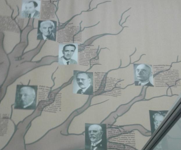 ) A műszaki múzeumok második megkülönböztető vonása, hogy sok esetben egy ötlet, egy találmány, egy szerkezet fejlődéstörténetét tárja elénk (például kép-, mozgóképrögzítés története, vagy gőzgépek