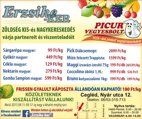 Hogy az utazás közben csak kellemes meglepetések érjék, kizárólag megfelelően működő fék és futómű rendszerrel