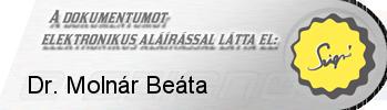 MVM Partner Zrt. által indított Keretmegállapodás keretében Munkaerő-kölcsönzés számlázási, menedzserasszisztensi, háttérműveleti és szolgáltatás koordinátori munkatársakra vonatkozóan" tárgyú a 2015.