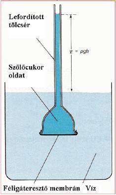 Ozmotkus: T µ / c U p hővezetés Fourer gradt termodffúzó Dufour L D termoelektromos Pelter L P hőszvattyú j termodffúzó Soret L S hűtés, szárítás j = -M dffúzó Fck gradm elektroozmotkus Faraday L