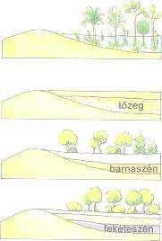 A itrogé soport és ele ei ek veg ületei 3.1... A itrogé és veg ületei 3.2... A foszfor és veg ületei 4.