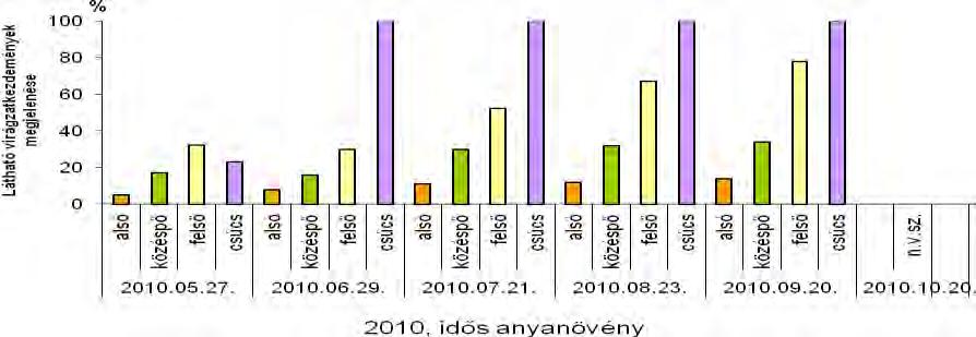 58. ábra: A 2009-2012-ben szaporított Lespedeza thunbergii különböző hajtásrészeiből szedett dugványok látható
