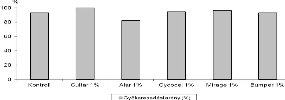 dugványok esetében, ugyanis a dugványok 100%-a meggyökeresedett (44. ábra). Ezt követik csökkenő sorrendben a Mirage 1% (96,4%), Cycocel 1% (94,6%), Bumper 1% (92,9%) és a kontroll (92,9%) dugványok.