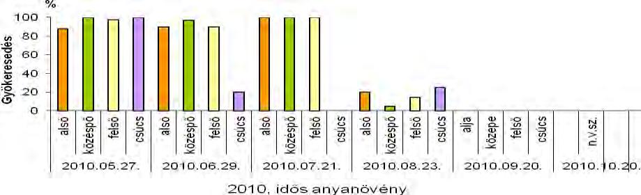 50. ábra: A 2009-2012-ben szaporított Lespedeza thunbergii