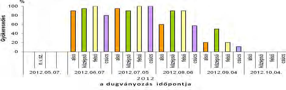 A fiatal növények szaporítását csak a júniusi hónapban tudtuk