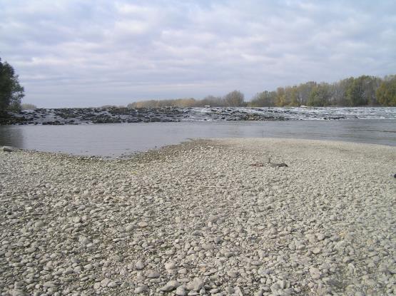 Fenékküszöb Dunakiliti a fenékküszöb alatt igen sekély a víz Folyószabályozási kotrások