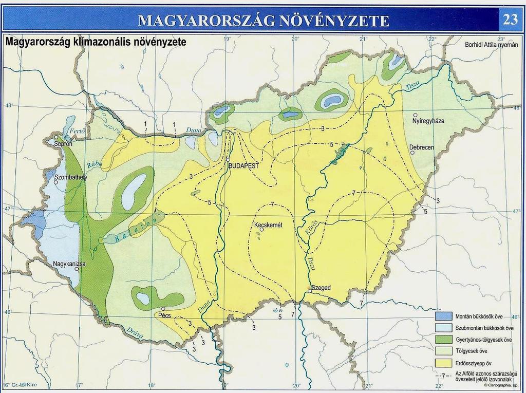 Növényzet Eredeti növénytakaró (vízfolyások, talajvíz függvényében): bokorfüzesek, ártéri ligeterdők, néha lápi társulásokkal