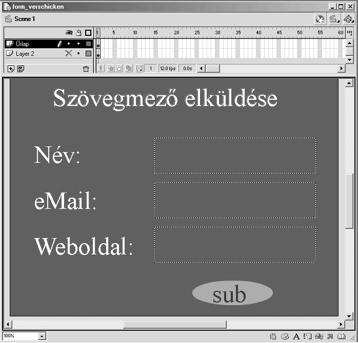 91 Szövegopciók felhasználása Minél több E-kereskedelmi, és személyreszabott oldal jelenik meg a világhálón, annál fontosabbá válik a felhasználói adatbevitel feldolgozásának lehetõsége.
