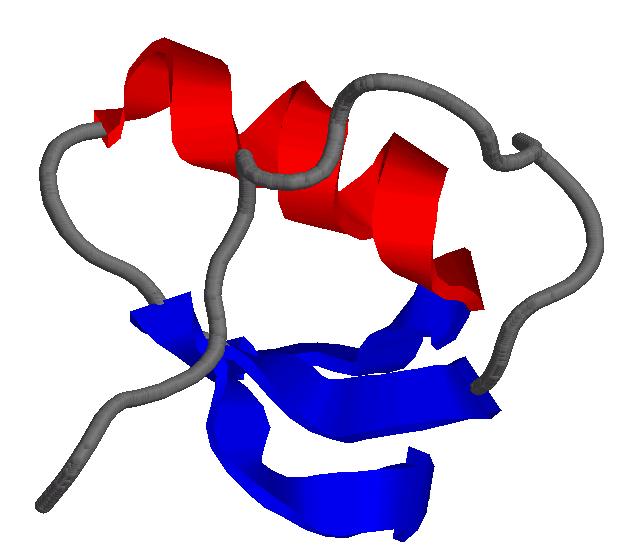 ubiquitin megjelöli