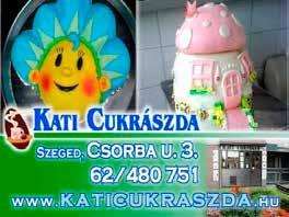 A TATRADOL TRAVEL által szervezett utazásokra a Polgári Törvénykönyv 415 416 paragrafusa, az utazási és utazást közvetítő szerződésről szóló 281/2008. (XI. 28.) Korm.