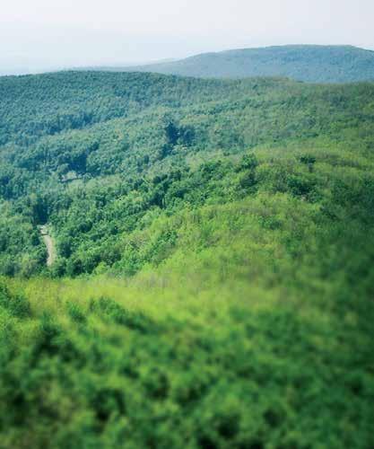 Az élőhelyvédelmet szolgáló fejlesztések, a folyamatos turisztikai beruházások e célrendszer megvalósulását szolgálják annak érdekében, hogy az állami erdőkbe érkező, természeti és természetes
