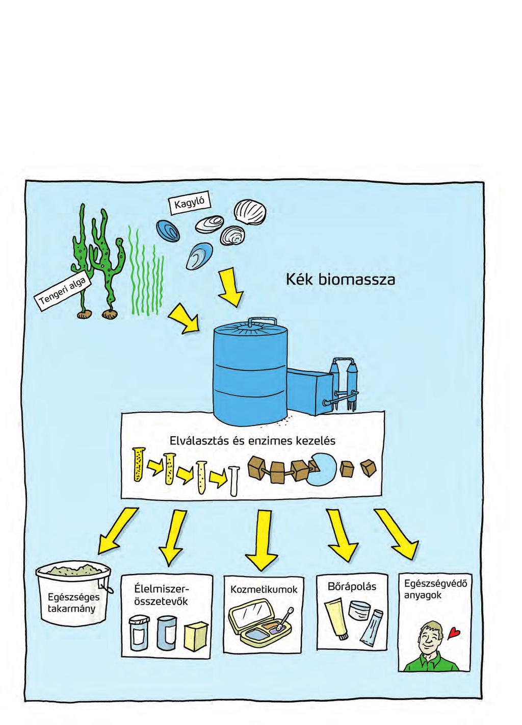 A jövőben a tenger biológiai erőforrásait a halászaton kívül többféle módon is hasznosíthatjuk majd. Itt a hangsúly a tengeri biomassza környezetbarát és okos felhasználásán van.