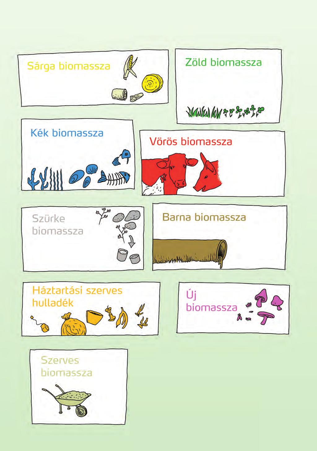 Könnyebben áttekinthetjük a biomasszában rejlő lehetőségeket, ha olyan elnevezéseket és színeket használunk, amelyek utalnak eredetükre: Sárga szalma és faforgács. Zöld levelek, például fű, lóhere.