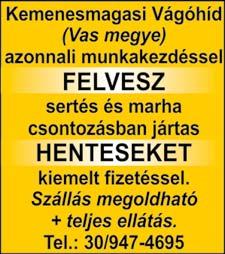keresünk "B" kategóriás jogosítvánnyal!