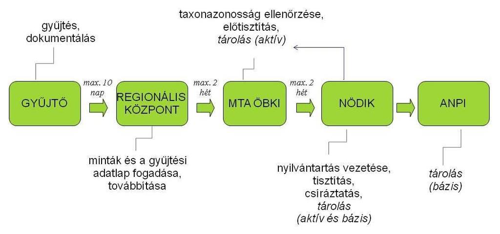 Maggyűjtési Útmutató 2010 első