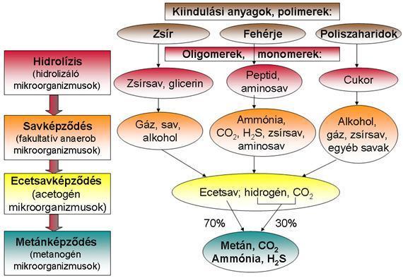 tartalmaz. A biogáz fűtőértéke a metán részarányától függően a földgáz fűtőértékének 50-70%-a (18-25 MJ/Nm 3 ), mely sűrítéssel illetve tisztítással növelhető (Bai, 2007).
