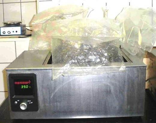 biogáz metántartalmát heti rendszerességgel ellenőriztem Ecoprobe 5-IR talajlevegőanalizátor segítségével (RS Dynamics Ltd, Czech Republic). 1.