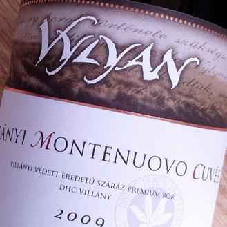 CABERNET FRANC VYLYAN 92 Medium bodied wine with ruby colour. The nose is pleasant and charming, the aromas are dominated by fruits, like ripe sour cherry. Tannins are silky and smooth.