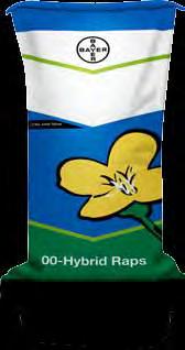 HOCH high oil content hybrids Safer termése (t/ha) és olajtartalma (%) 2012-ben Magtermés (t/ha) 4, 4, 4,4 4,2 4,0 3, 3, NK Petrol