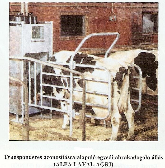Gyakorlati példák az abraktakarmány kiosztására A felső ábra egy pályához kötött PC vezérlésű mobil kiosztó kocsit mutat munka közben.