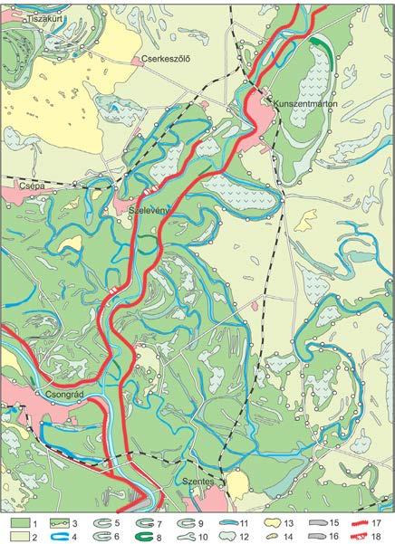 Dél-alföldi Tisza menti vizsgálatainkat a Csongrádi-süllyedéken (5.ábra) és a folyó Mindszent környéki partszakaszán (6. ábra) végeztük.