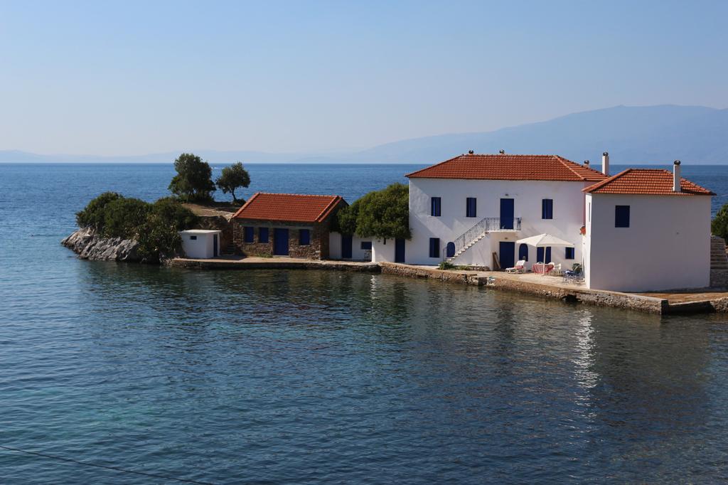 Galéria 54