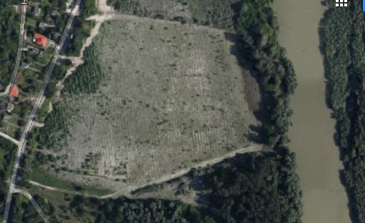 Dunai üledék nehézfém tartalmának akkumuláció vizsgálata réti lósóskával 1. táblázat. A mintavételi helyszínek GPS koordinátái.