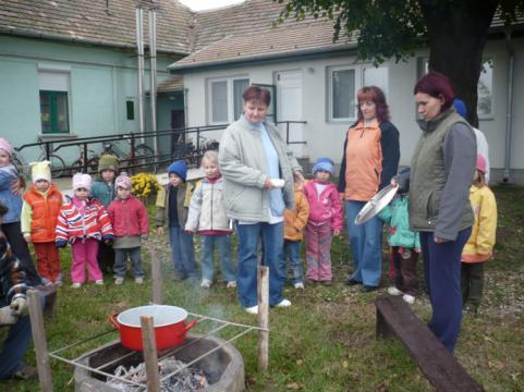 Intézménykép: Ha szívemben őrzök egy zöldellő ágat, az énekesmadár úgyis rászáll.