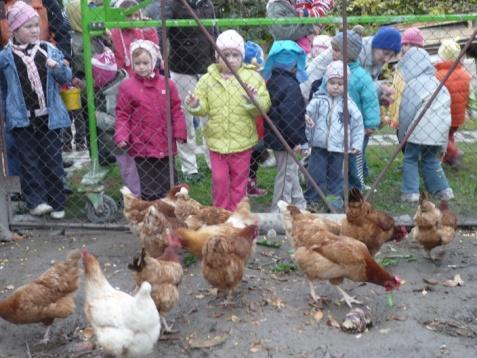 A gyermekek megfigyelik a külsejüket, megsimogathatják a kisállatokat pl. cicát, kutyát és megetethetik.