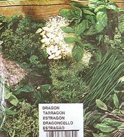 (fagyasztott) Bébikukorica 10x1 kg Dujardin Gyöngyhagyma