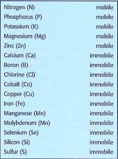 Egyik ilyen fontos szempont, hogy újrahasznosuló-e vagy sem(mobilis-e vagy sem).