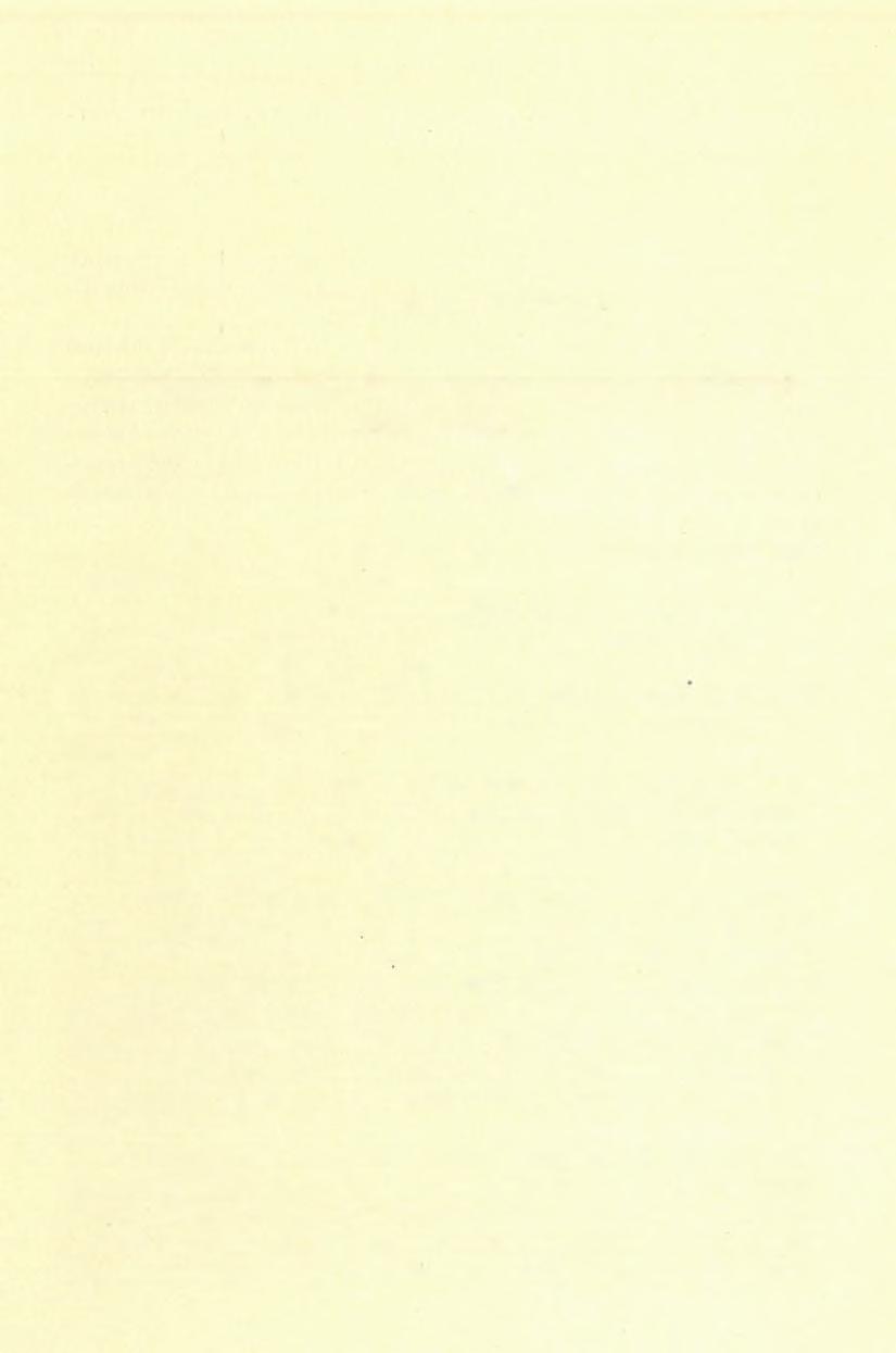 C. A g r o g e o lo g ia i fö lv é te le k. 8. Jelentés az 1901-ik év nyarán végzett talaj fölvételi munkálatokról, T r EITZ PÉTER-tŐl. Az 1901-ik évben a Nagyméltóságú m. kir.