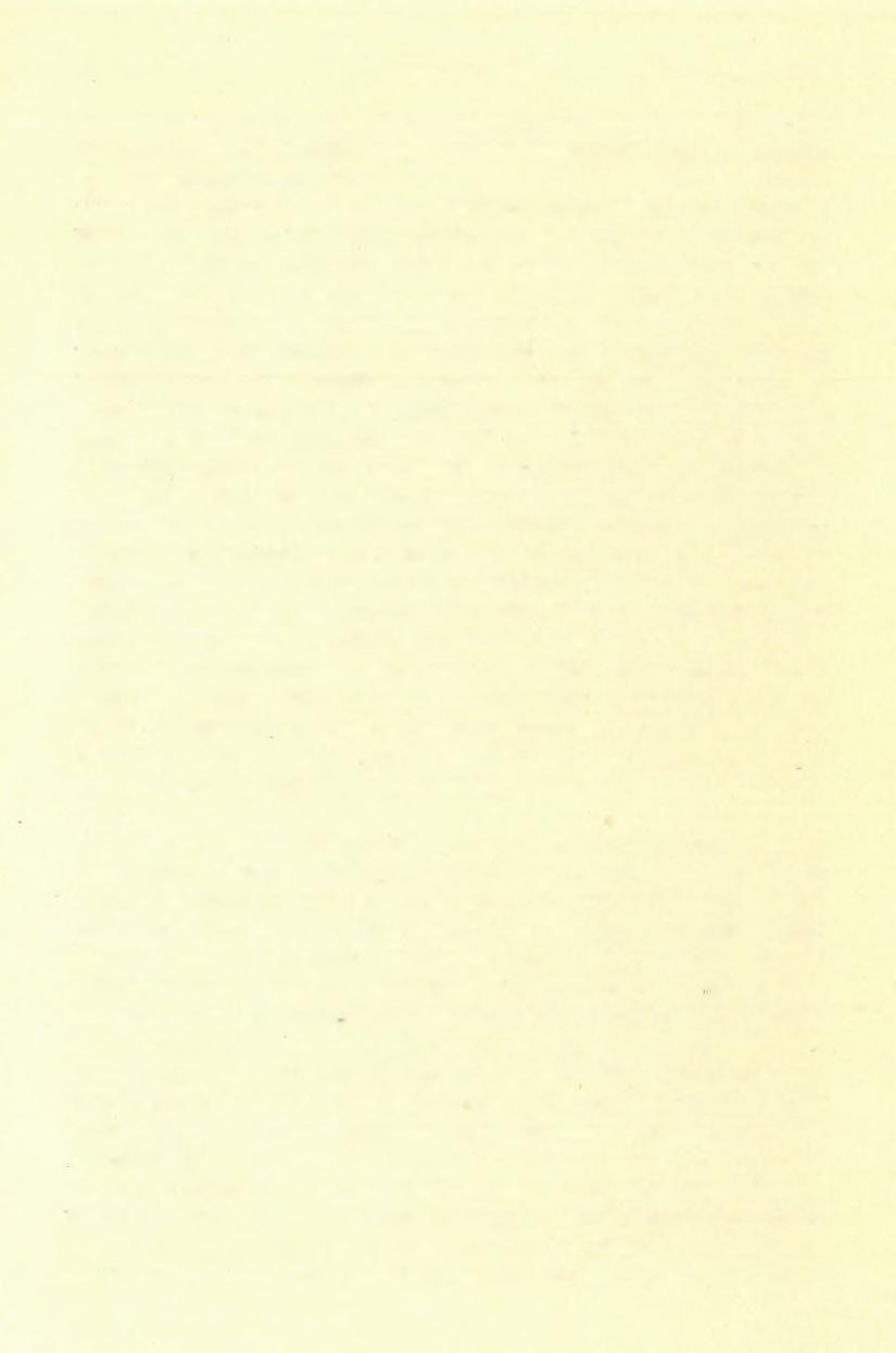 (6 ) F Ö L V É T E L I J E L E N T É S. 125 A két anyag porozitásában, a mennyire azt szabad szemmel megítélhetjük, nem látni különbséget.