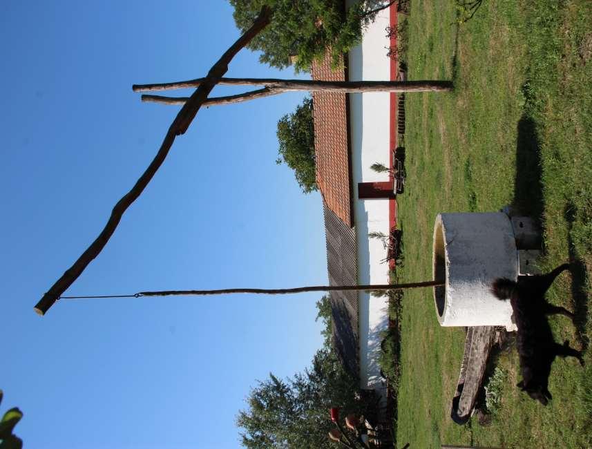14 Bagotai