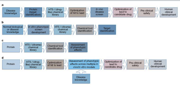 Gyógyszer vagy segédvegyület Standard model Forward chemical genetics Reverse